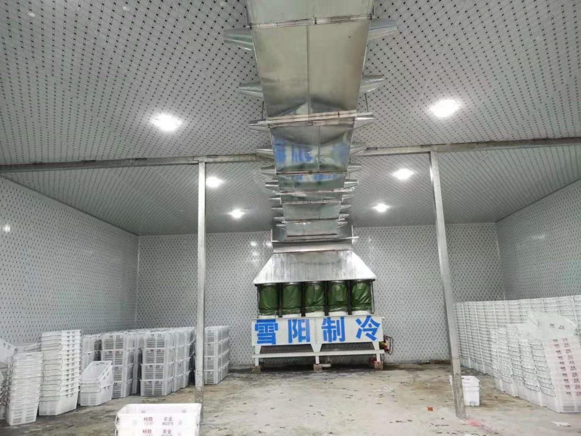 蔬菜冷庫的造價(jià)大